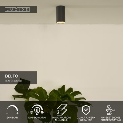 Lucide DELTO - Plafondspot - Ø 5,5 cm - LED Dim to warm - GU10 - 1x5W 2200K/3000K - Grijs